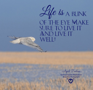 Life is too short... .